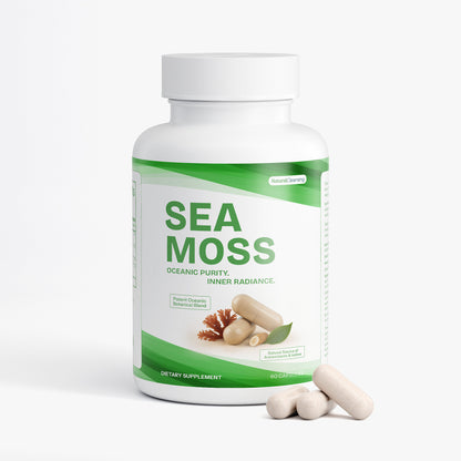 Sea Moss